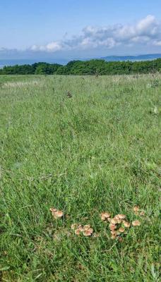 Прикрепленное изображение: не.jpg